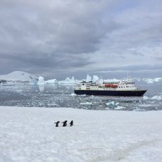 Antarctica – The Bottom of the World